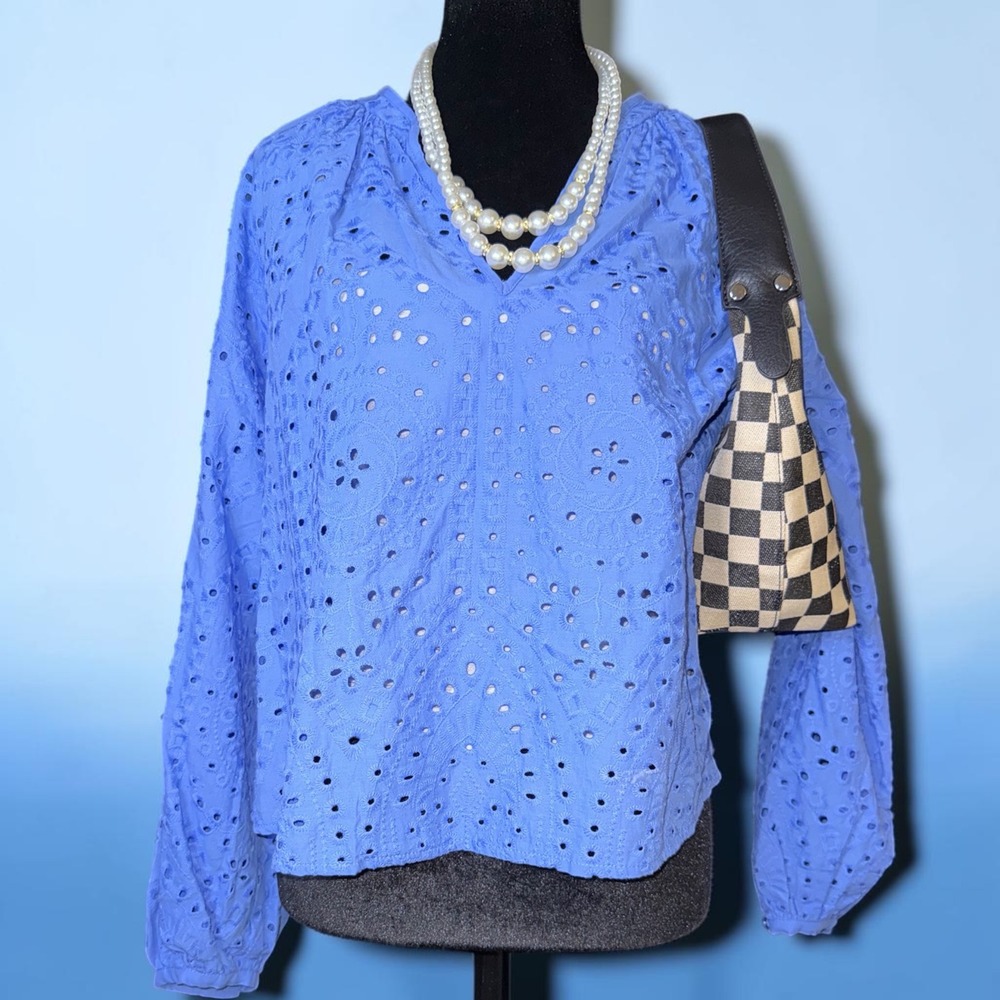 H&M Blue Eyelet Cotton V-Neck Blouse Long Sleeve Embroidered Top